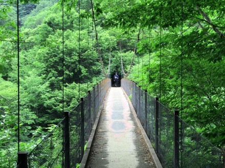 大自然の吊り橋を歩く
