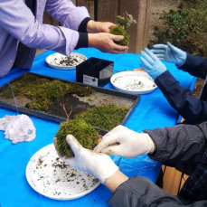 思い出作りの旅　山梨