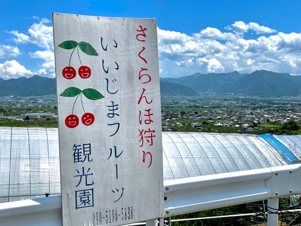 家族みんなで楽しめる さくらんぼ狩り 山梨フルーツ王国 石和温泉郷の旅館 石和名湯館 糸柳 家族みんなで楽しめる さくらんぼ狩り 山梨フルーツ王国 石和温泉郷の旅館 石和名湯館 糸柳