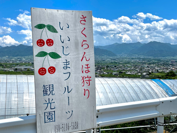 さくらんぼ狩り　山梨観光　石和温泉