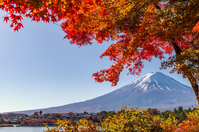 富士山と紅葉