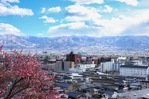 富士山