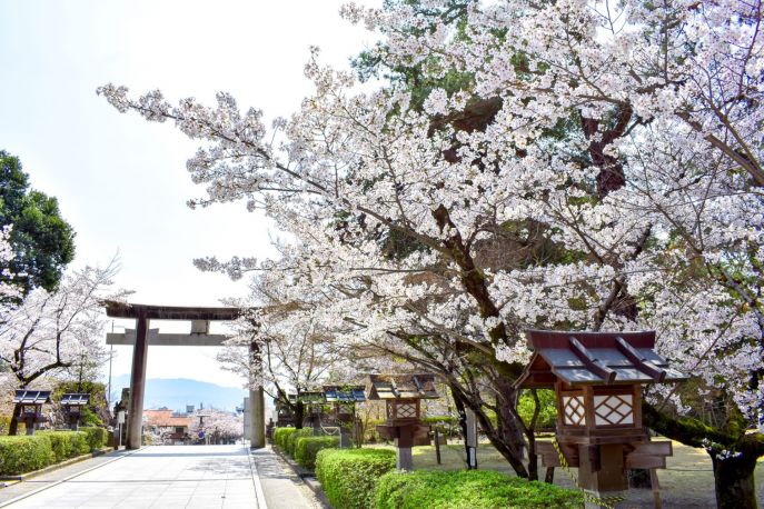 武田神社