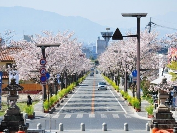 武田通り